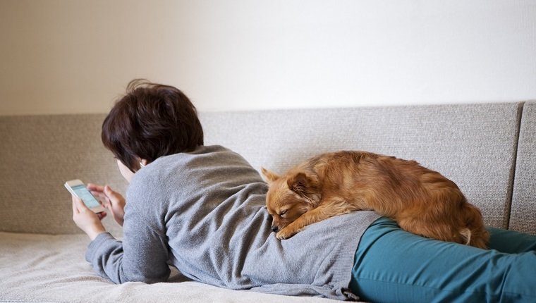 Eine asiatische Frau hält ein Smartphone auf dem Sofa liegend. Der Hund, ein Chihuahua, schläft auf ihrem Rücken.