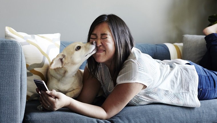 Frau, die auf Sofa mit Smartphone, Haustierhund leckt ihr Gesicht liegt
