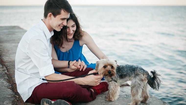 Junges kaukasisches heterosexuelles Paar, das nahe am Meer mit Hund sitzt