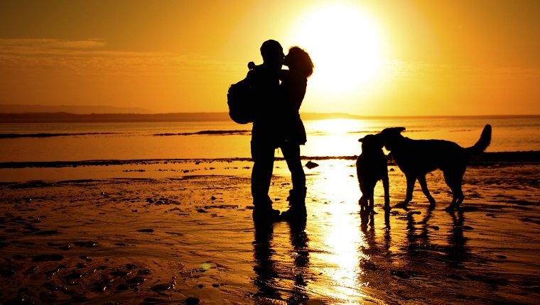 Paar Kuss Silhouette mit Hunden am Strand