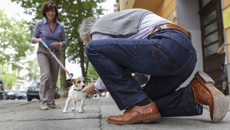 Jack Russell Terrier eilt eine Stadtstraße entlang, um seinen Besitzer zu begrüßen. Der Besitzer kniet nieder, um den Hund zu streicheln. Horizontale Aufnahme.