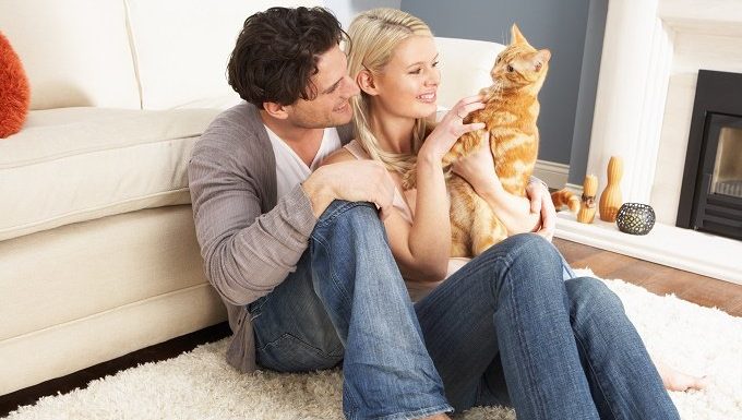 Ein junges Paar hält eine orangefarbene Katze, während es auf einem Teppich sitzt.
