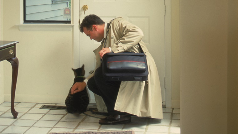 Geschäftsmann von Katze bei der Ankunft zu Hause begrüßt