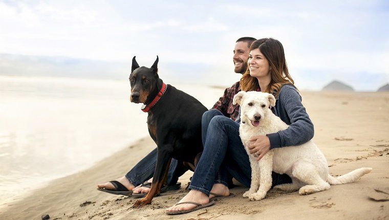 Attraktives Paar am Strand mit ihren Hunden