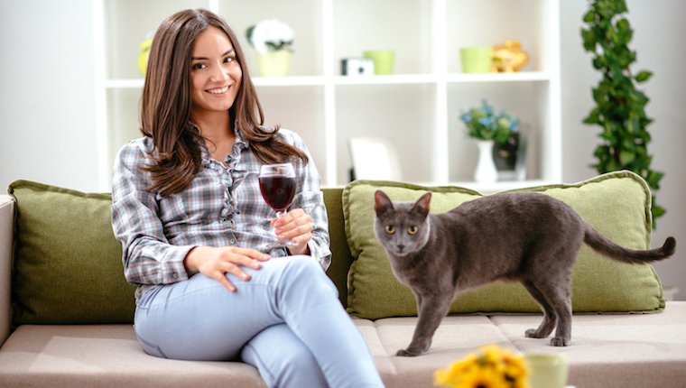Trinkender Wein der Frau auf Couch mit Katze am Getränkweintag