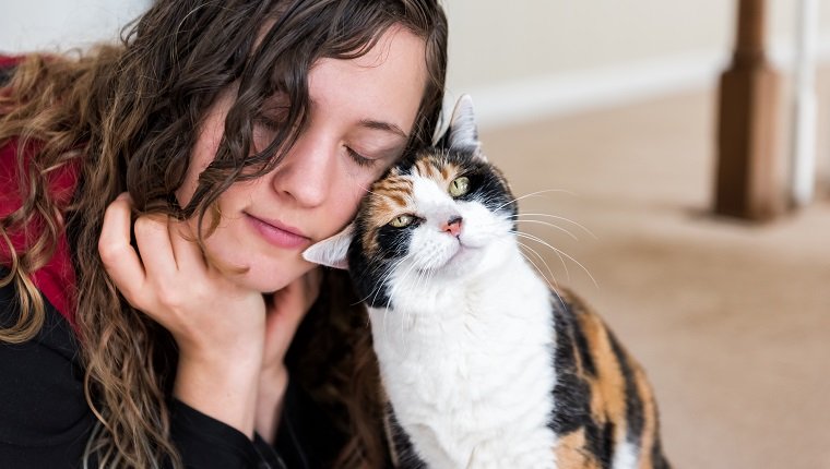 Young woman bonding with calico cat bumping rubbing bunting heads, friends friendship companion pet happy affection bonding face expression, cute adorable kitty