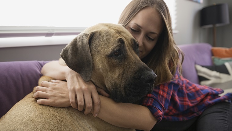 Frau, die Hund auf Wohnzimmer Sofa umarmt