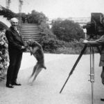 President Warren G. Harding (1865-1923) plays with his dog as a photographer takes a picture of them. Harding was the twenty-ninth president of the United States, serving from 1921 until his death in office in 1923..