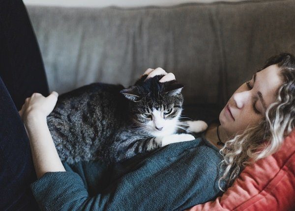 pet sitter petting a cat during professional pet sitters week