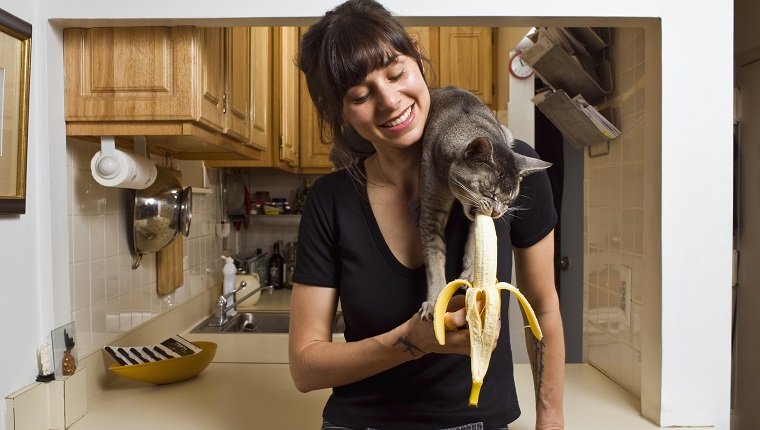 Katze, die Banane auf der Schulter der Frau isst