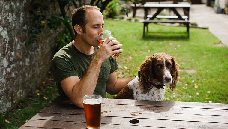 Mann, der im Kneipengarten mit Spanielhund sitzt, der Pint Bier trinkt.