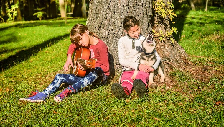 Kleines Mädchen, das Gitarre im Park mit Husky-Welpengesang spielt
