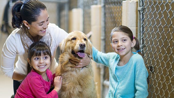 Familie mit Hund im Tierheim