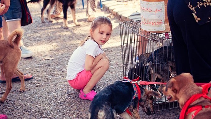 junges Mädchen mit Schutzhunden