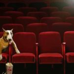 8 Sad Dog Movies