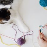 Cat and human crocheting
