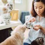 pet sitter feeds cats during professional pet sitters week