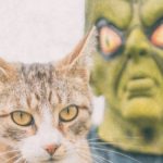 Cat with alien
