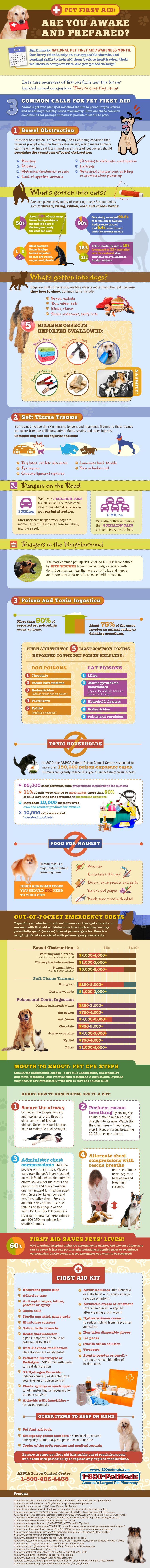 Erste-Hilfe-Infografik für Haustiere