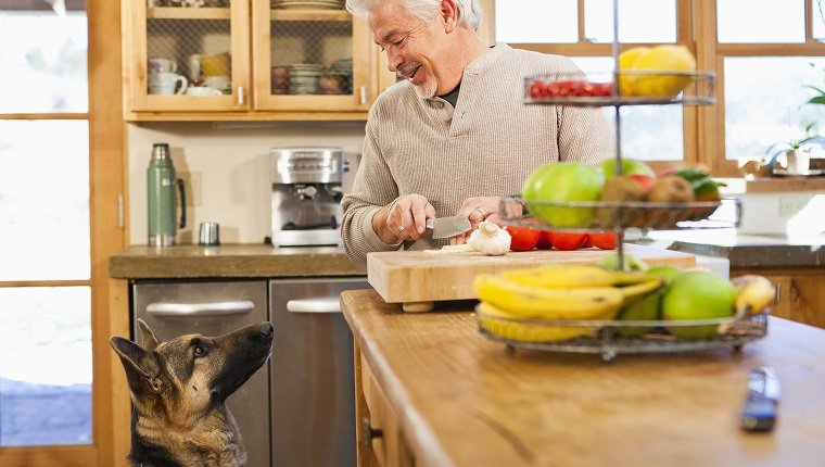 Hispanischer Mann mit bettelndem Hund in der Küche