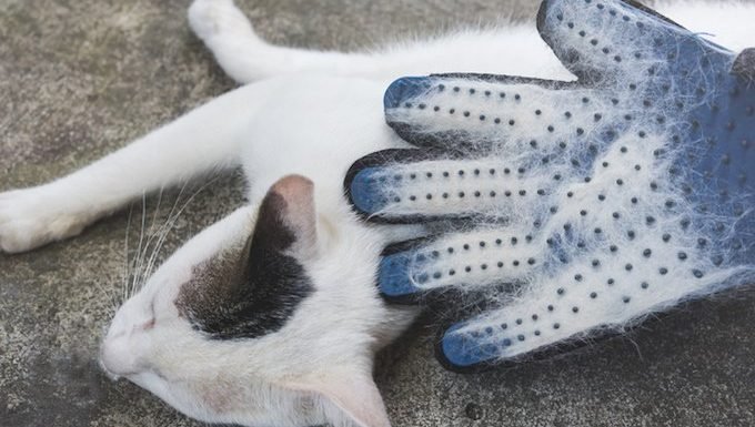 Handschuh mit Katzenfell