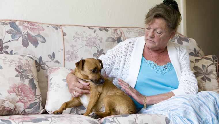Eine ältere Frau in einem unglücklichen Geisteszustand sucht Trost in ihrem Haustier.