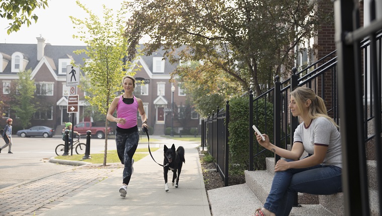 Weiblicher Läufer, der mit Hund und Frau läuft, die mit Handy auf Bürgersteig der Nachbarschaft SMS schreiben