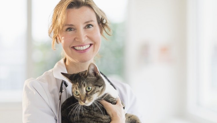 Porträt des weiblichen Tierarztes mit Katze