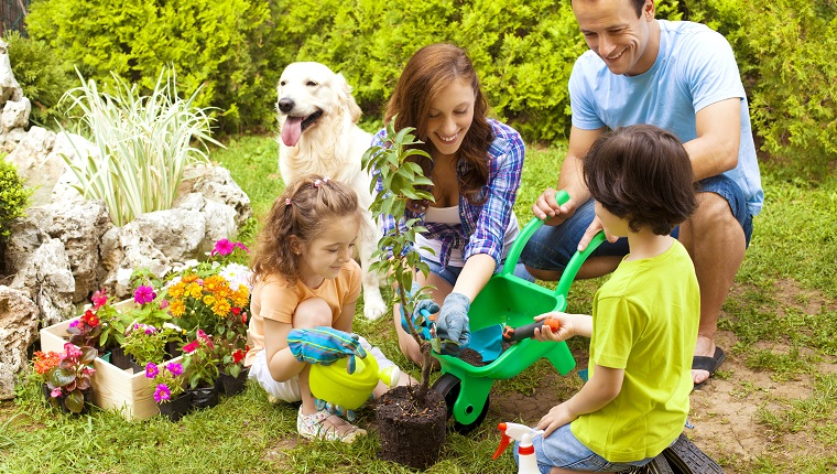 Familie mit zwei Kindern und Hund, die Blumen in einem Hinter- oder Vorgarten pflanzen.