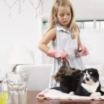 little girl dusting a cat