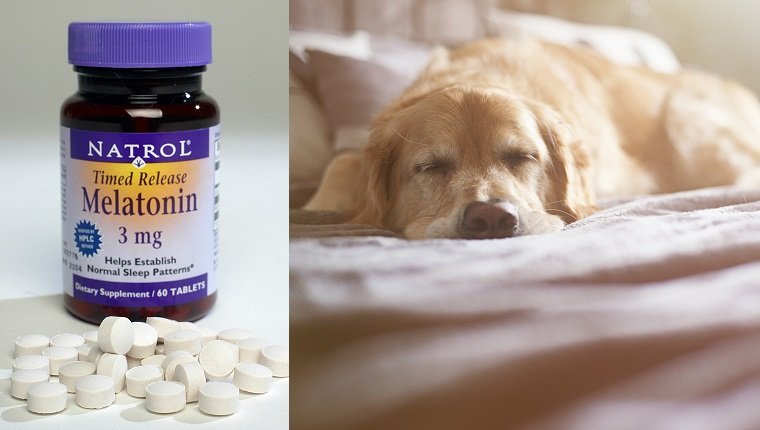 Natrol time release melatonin. (Photo by Luis Sinco/Los Angeles Times via Getty Images)