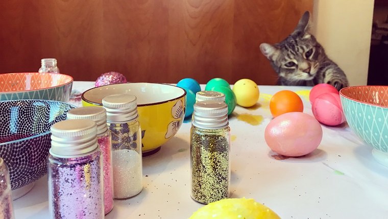 Verspielte und schelmische Katze, die nach Ostereiern auf einem Tisch greift. Kleine Schalen gefüllt mit Farbstoff und bunten Ostereiern, verziert in einem Regenbogen der Farben. Winzige Gläser mit funkelndem Glitzer verteilten sich auf dem unordentlichen Tisch. Kindheit.