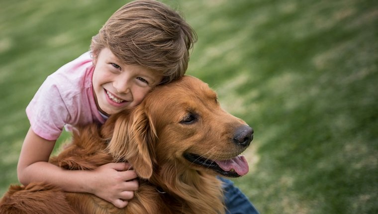 10 besten kinderfreundlichen Hunderassen für Familien Haustiere Welt