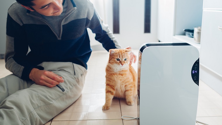 Luftentfeuchter mit Touchpanel, Feuchtigkeitsanzeige, UV-Lampe, Luftionisator, Wasserbehälter arbeitet zu Hause, während Mann seine Katze streichelt. Lufttrockner