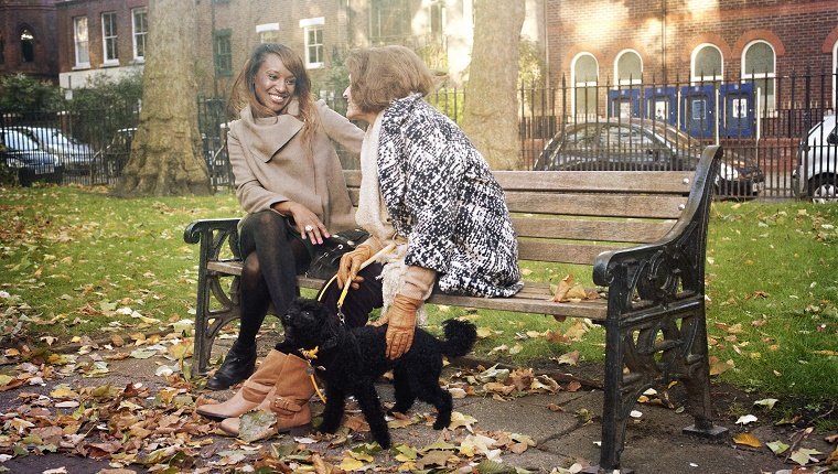 Eine natürliche Ansicht von zwei Frauen in warmer Kleidung, die sich auf einer Eisenbank in einem herbstlichen Londoner Park unterhalten. Eine der Frauen ist eine reife Frau, die sich sanft an einem kleinen schwarzen Pudel festhält.