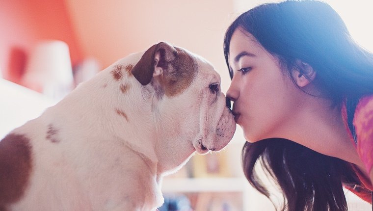 Brünette Teenager-Mädchen küsst ihren Bulldoggenwelpen.