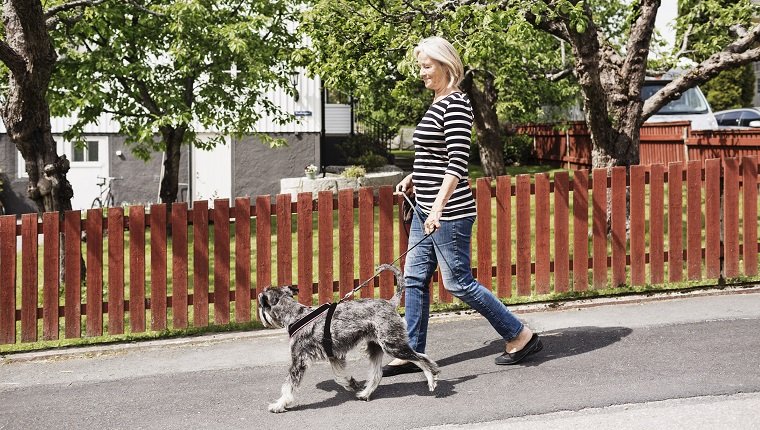 Seitenansicht der älteren Frau, die mit Hund auf Straße geht