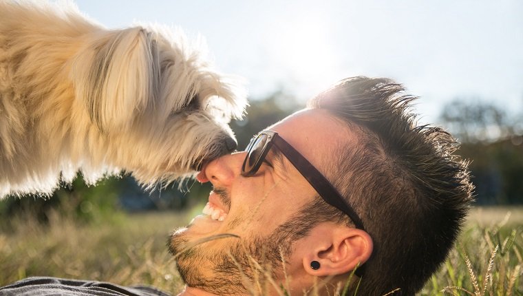 Hund und sein Besitzer - Cooler Hund und junger Mann, der Spaß in einem Park hat - Konzepte von Freundschaft, Haustieren, Zusammengehörigkeit