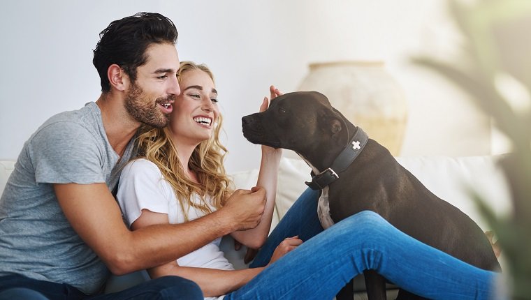 Aufnahme eines jungen Paares, das sich zu Hause mit seinem Hund entspannt