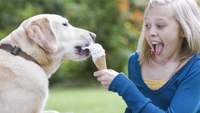 Hund, der Mädcheneis isst