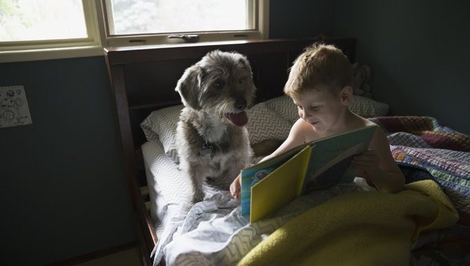 Kind liest zu Hund