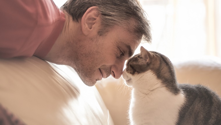 Porträt eines Mannes und seiner liebevollen Katze zusammen von Angesicht zu Angesicht.