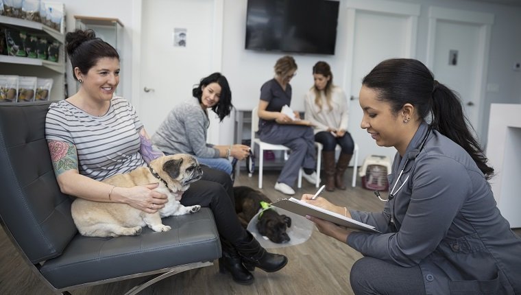 Tierarzt im Gespräch mit Frau mit Hundeklinik Lobby