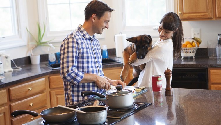 Paar in der Küche zusammen kochen. Frauen halten ihren Hund in Händen und er schaut auf Nahrung