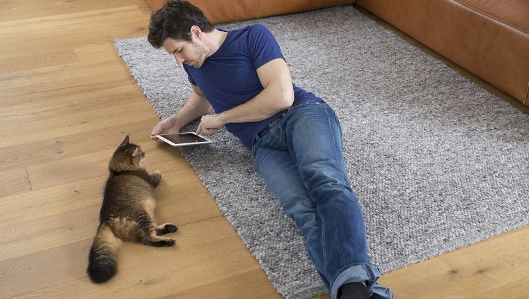 Mann mit digitaler Tablette, die auf Boden liegt, Katze, die ihn beobachtet