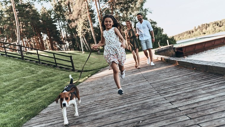 Volle Länge des niedlichen kleinen Mädchens, das mit Hund läuft und lächelt, während ihre Eltern hinterher gehen
