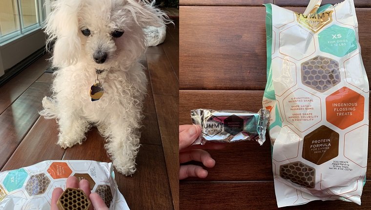 DogTime Review: Schmecken die Leckerbissen mit leckeren Kämmen gut und helfen sie der Zahngesundheit Ihres Hundes?