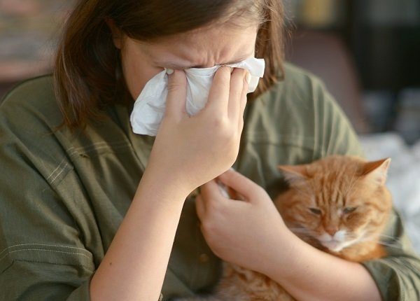 Animal allergy (cat)