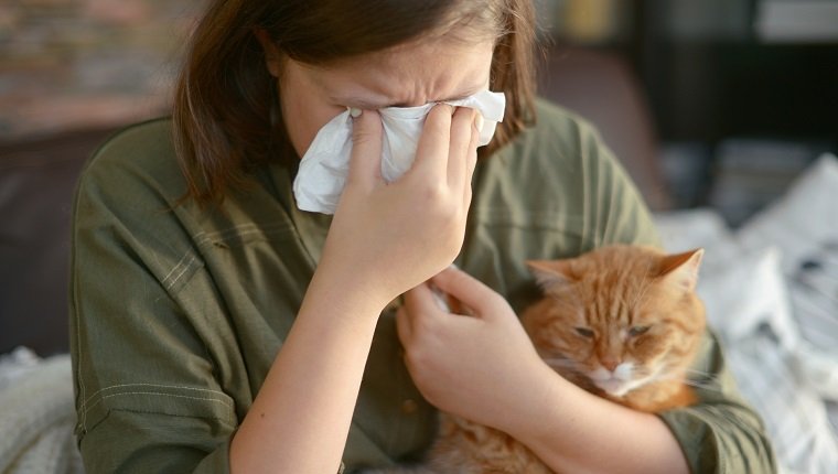 Tierallergie (Katze)