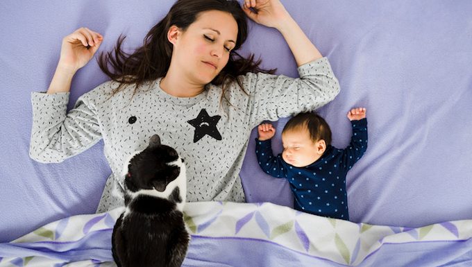 Mutter im Bett mit Baby und Katze